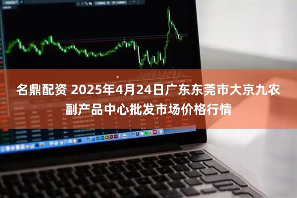 名鼎配资 2025年4月24日广东东莞市大京九农副产品中心批发市场价格行情