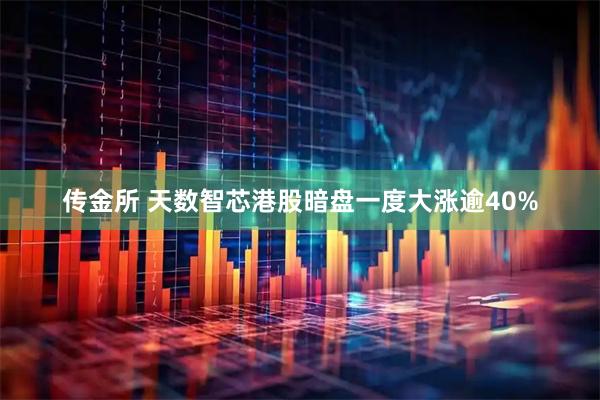 传金所 天数智芯港股暗盘一度大涨逾40%