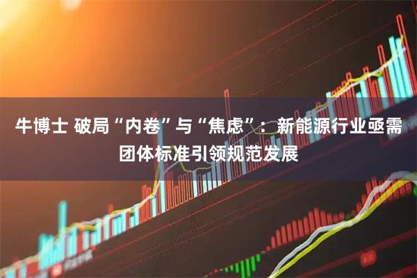 牛博士 破局“内卷”与“焦虑”：新能源行业亟需团体标准引领规范发展