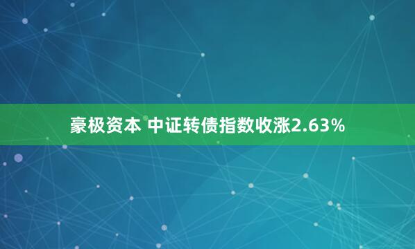 豪极资本 中证转债指数收涨2.63%